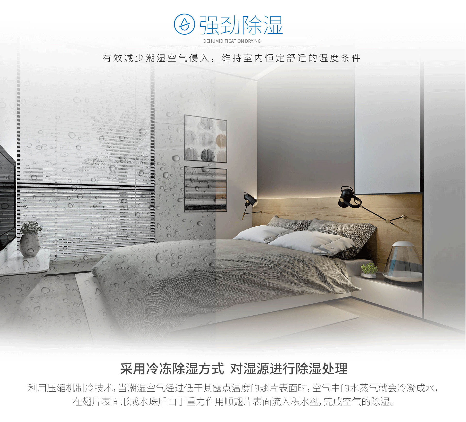 双向流舒爽型.jpg